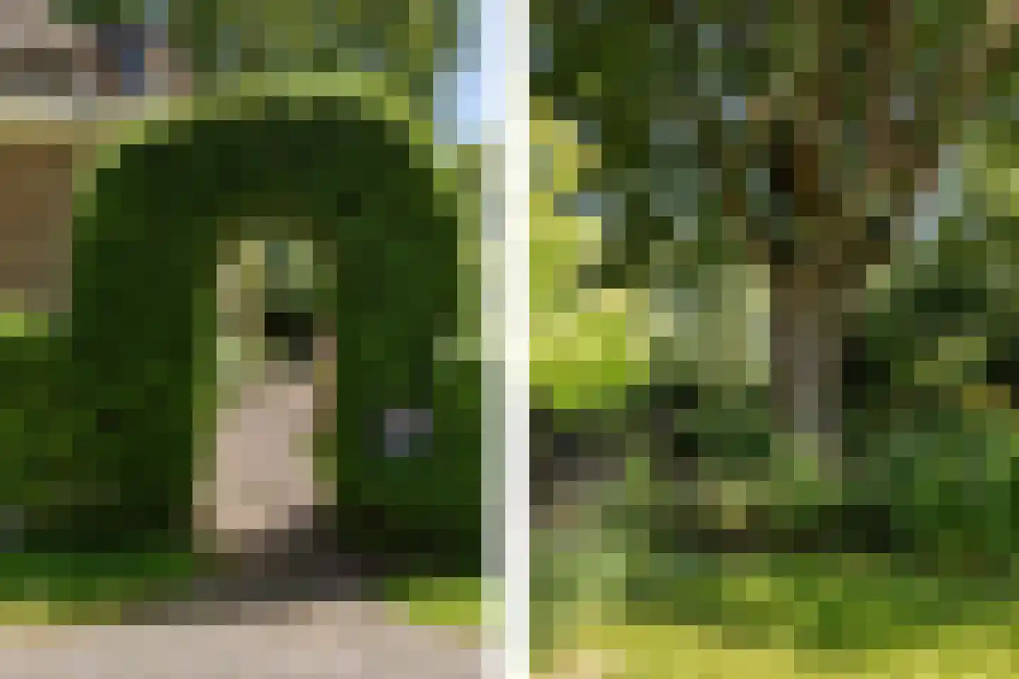 De Plevier 158 Almelo thumbnail 29
