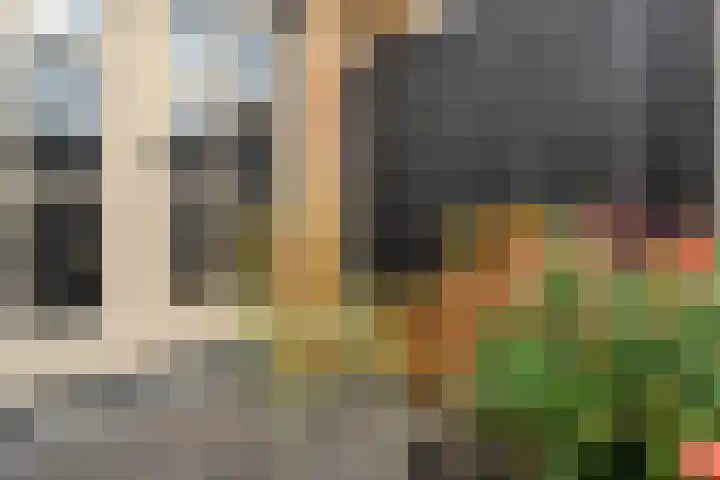 De Plevier 158 Almelo thumbnail 29