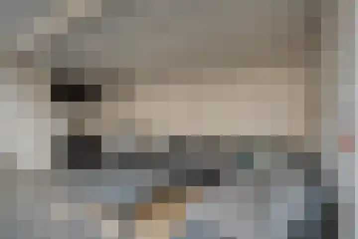 De Plevier 158 Almelo thumbnail 31