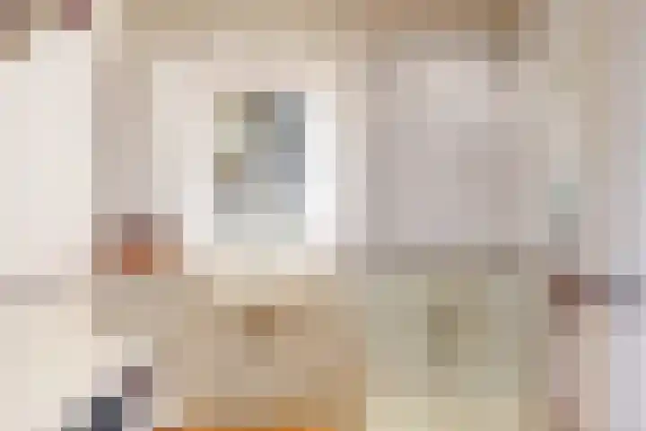 De Plevier 158 Almelo thumbnail 32