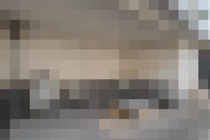 De Plevier 158 Almelo thumbnail 32