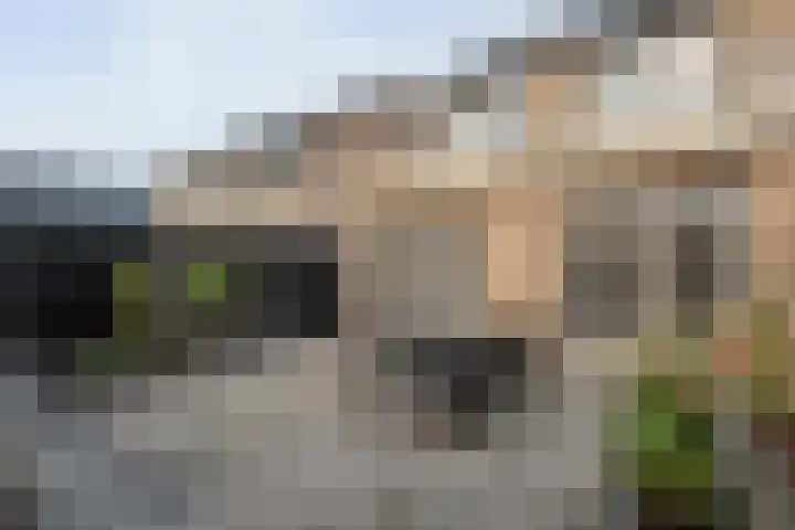 De Plevier 158 Almelo thumbnail 33