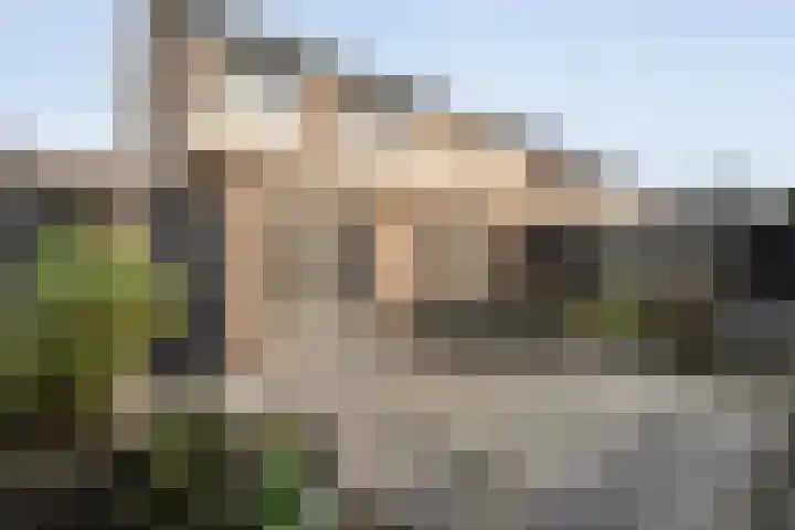 De Plevier 158 Almelo thumbnail 35