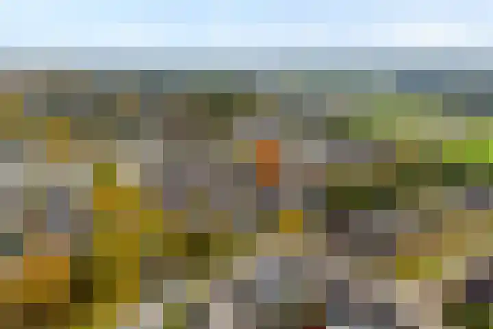De Plevier 158 Almelo thumbnail 36