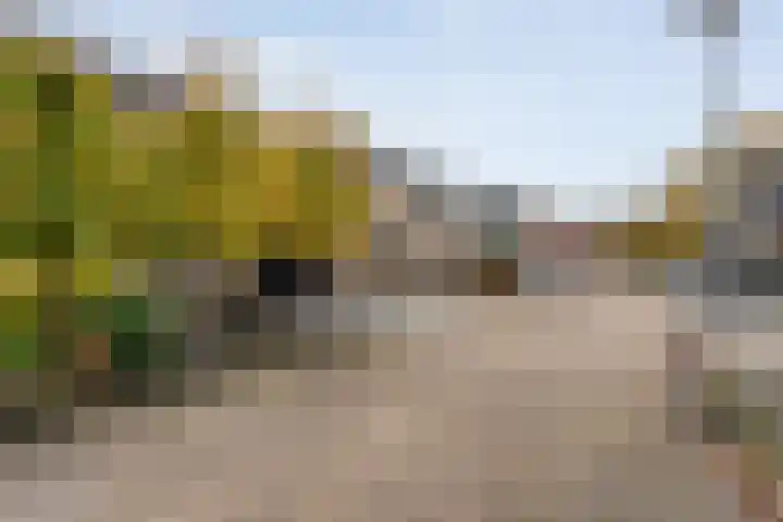 De Plevier 158 Almelo thumbnail 37