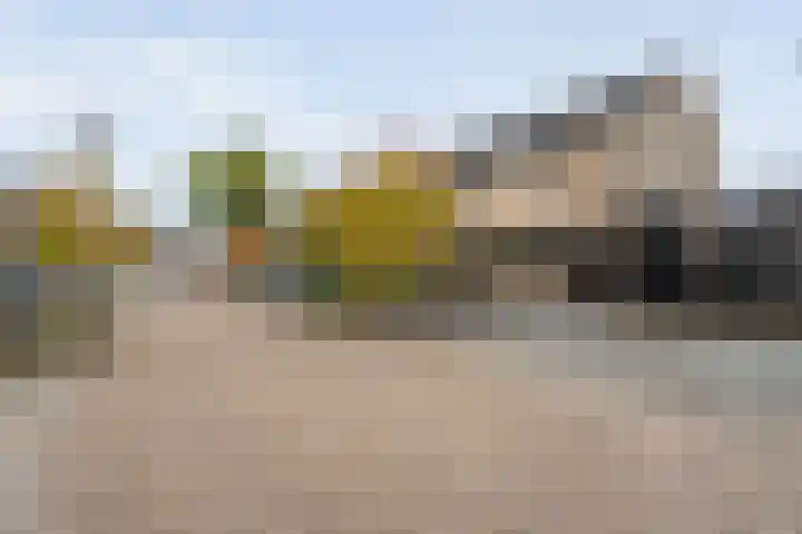 De Plevier 158 Almelo thumbnail 38