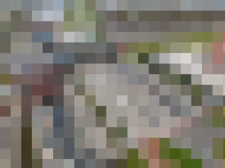 De Plevier 158 Almelo thumbnail 41