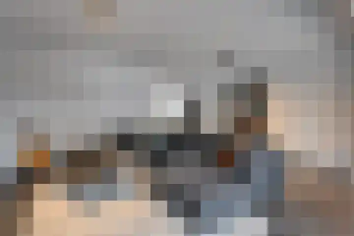 De Plevier 158 Almelo thumbnail 7
