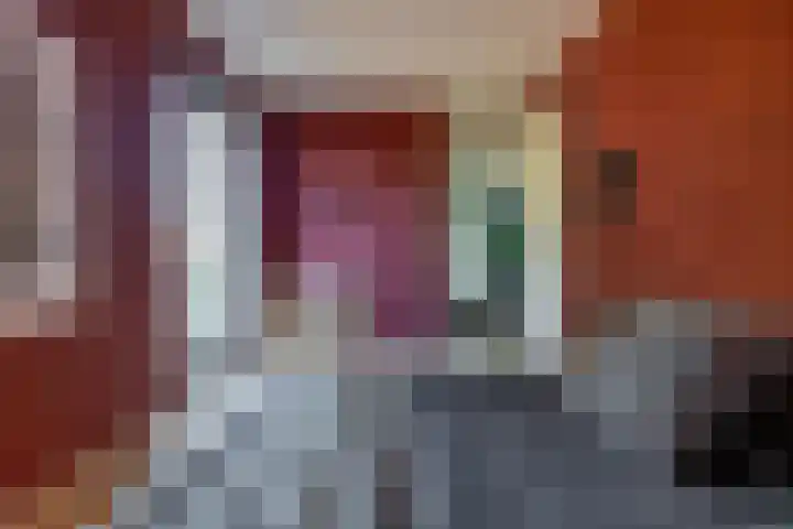 De Plevier 158 Almelo thumbnail 8