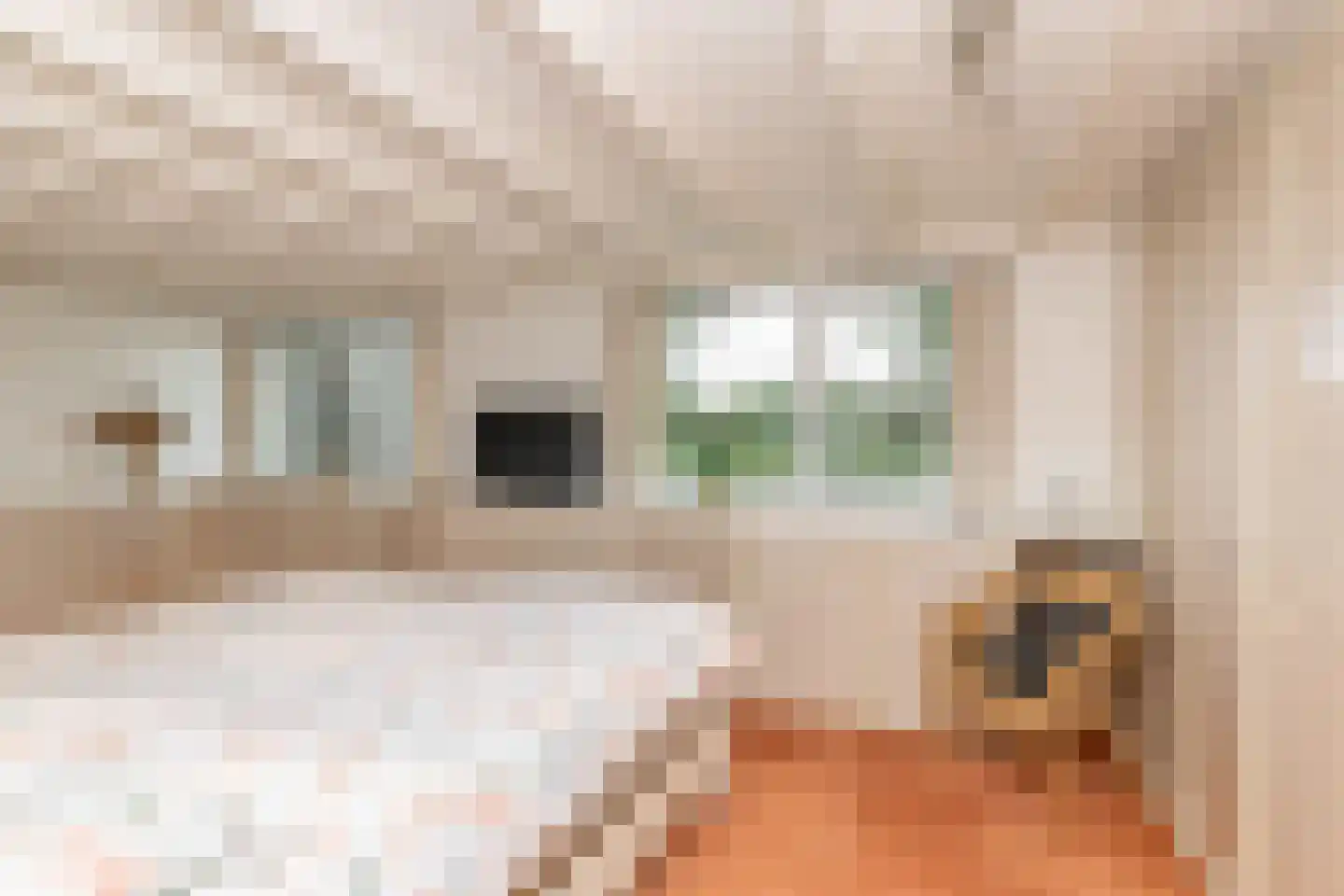 De Plevier 34 Hoogeveen thumbnail 32
