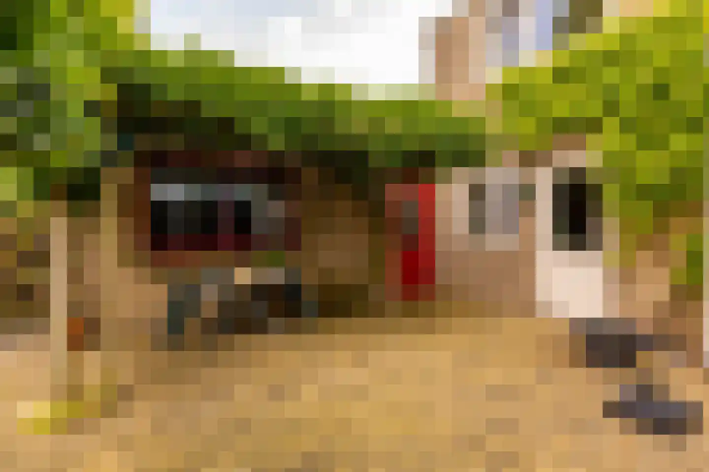 De Plevier 34 Hoogeveen thumbnail 46