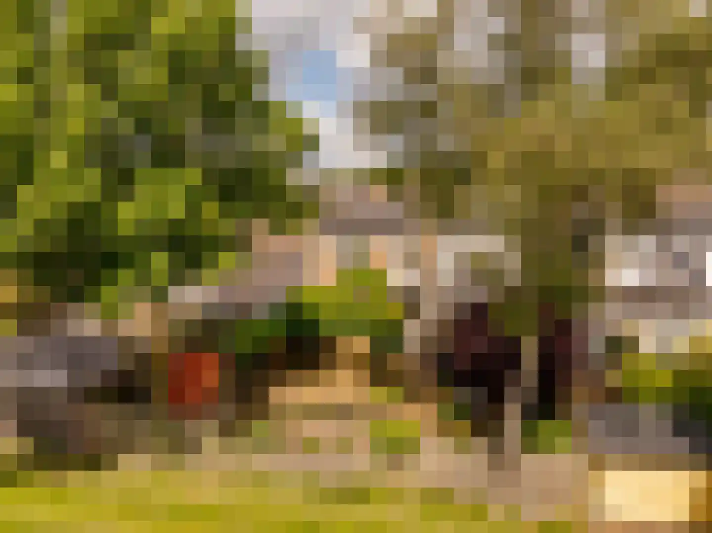 De Plevier 34 Hoogeveen thumbnail 5