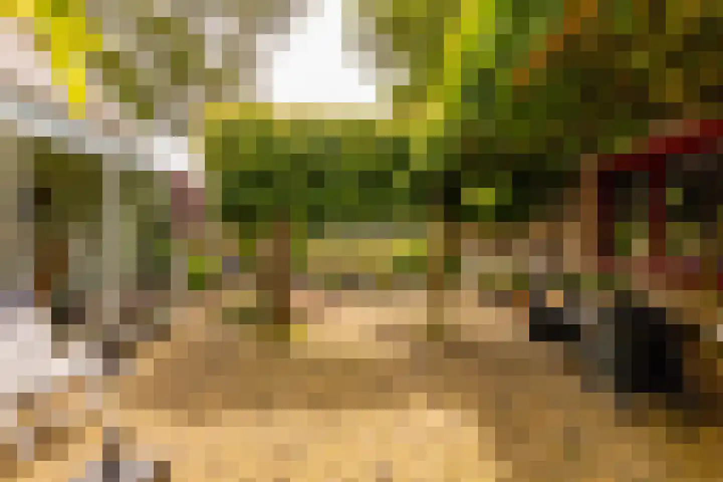De Plevier 34 Hoogeveen thumbnail 51