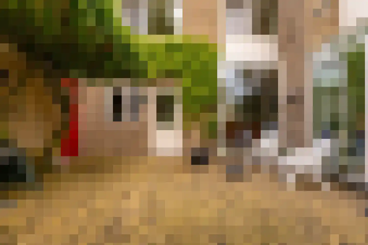 De Plevier 34 Hoogeveen thumbnail 52