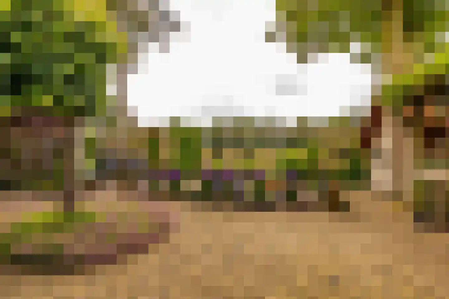 De Plevier 34 Hoogeveen thumbnail 54