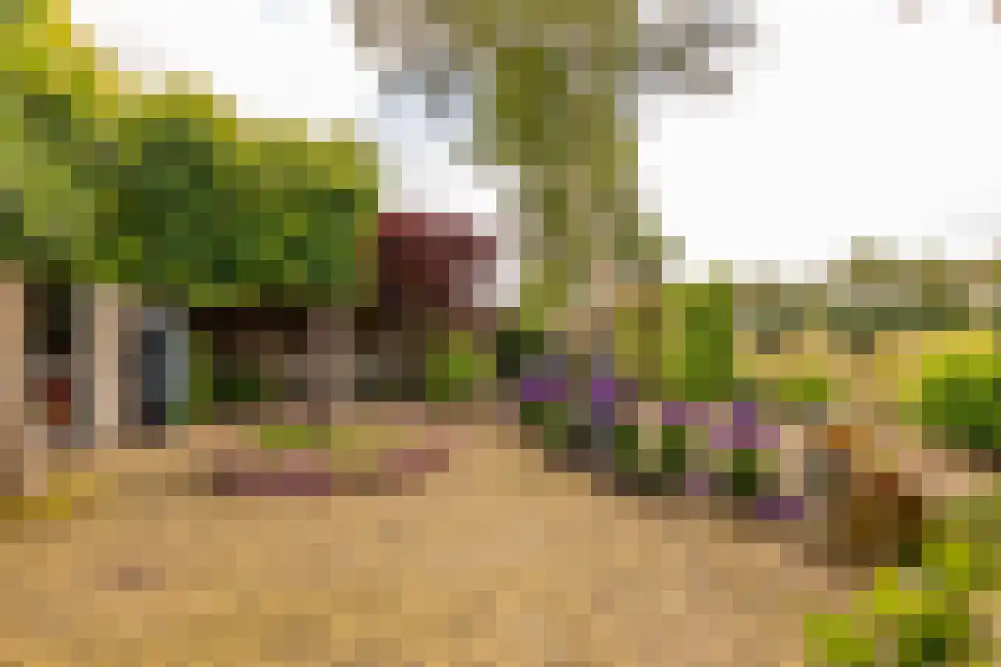 De Plevier 34 Hoogeveen thumbnail 55