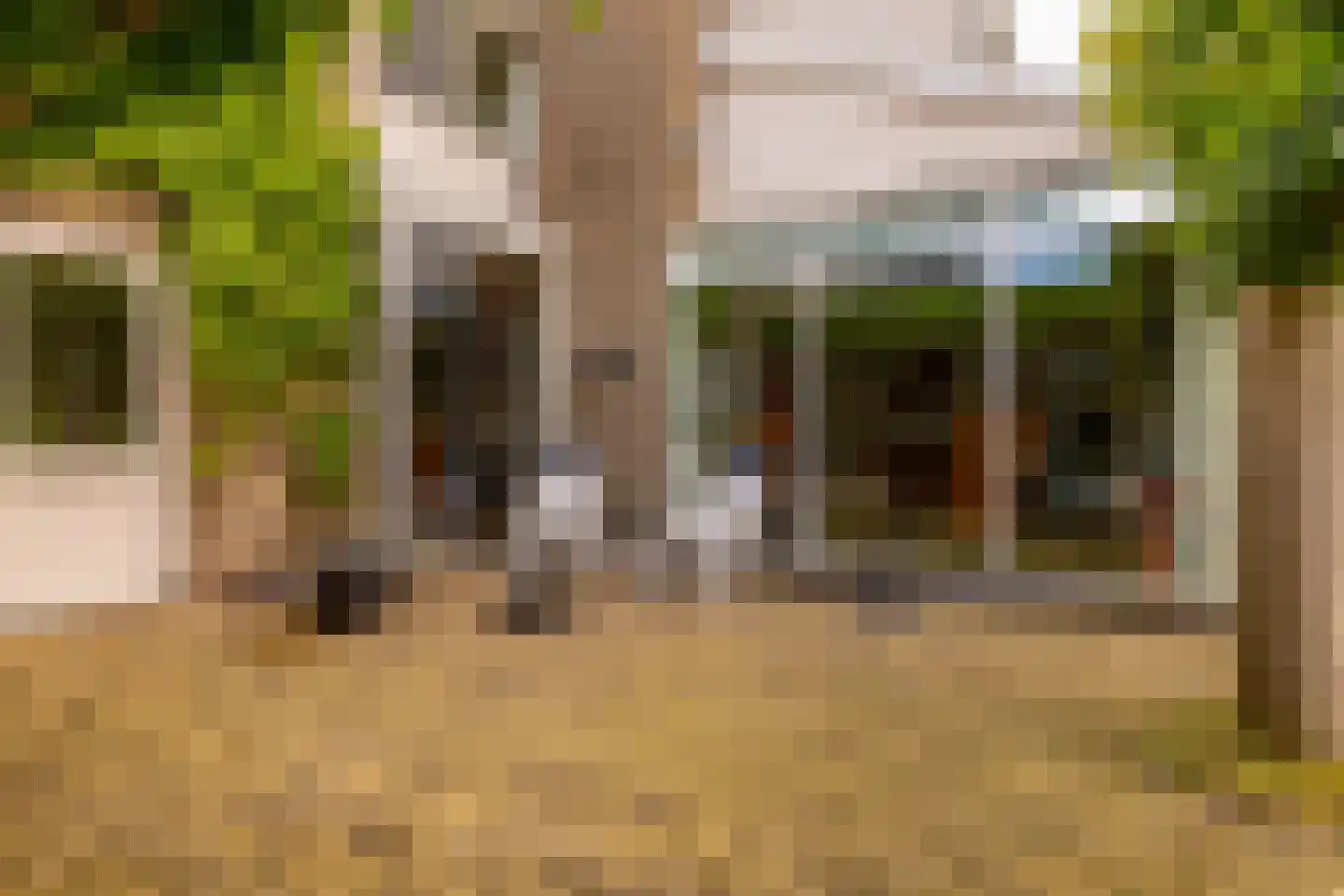 De Plevier 34 Hoogeveen thumbnail 56