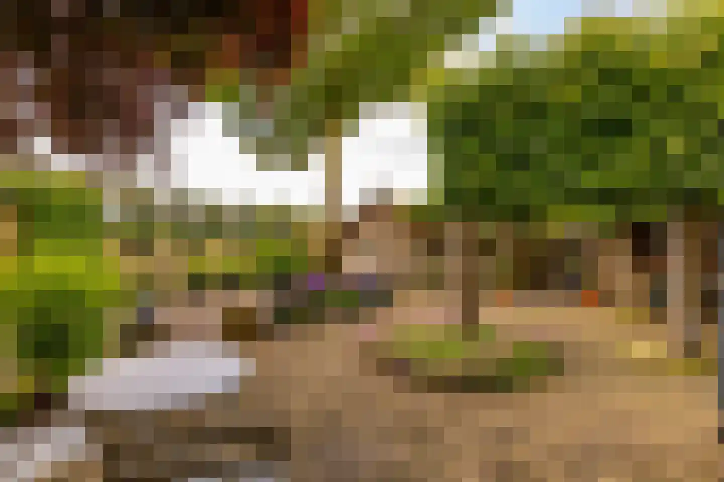 De Plevier 34 Hoogeveen thumbnail 57