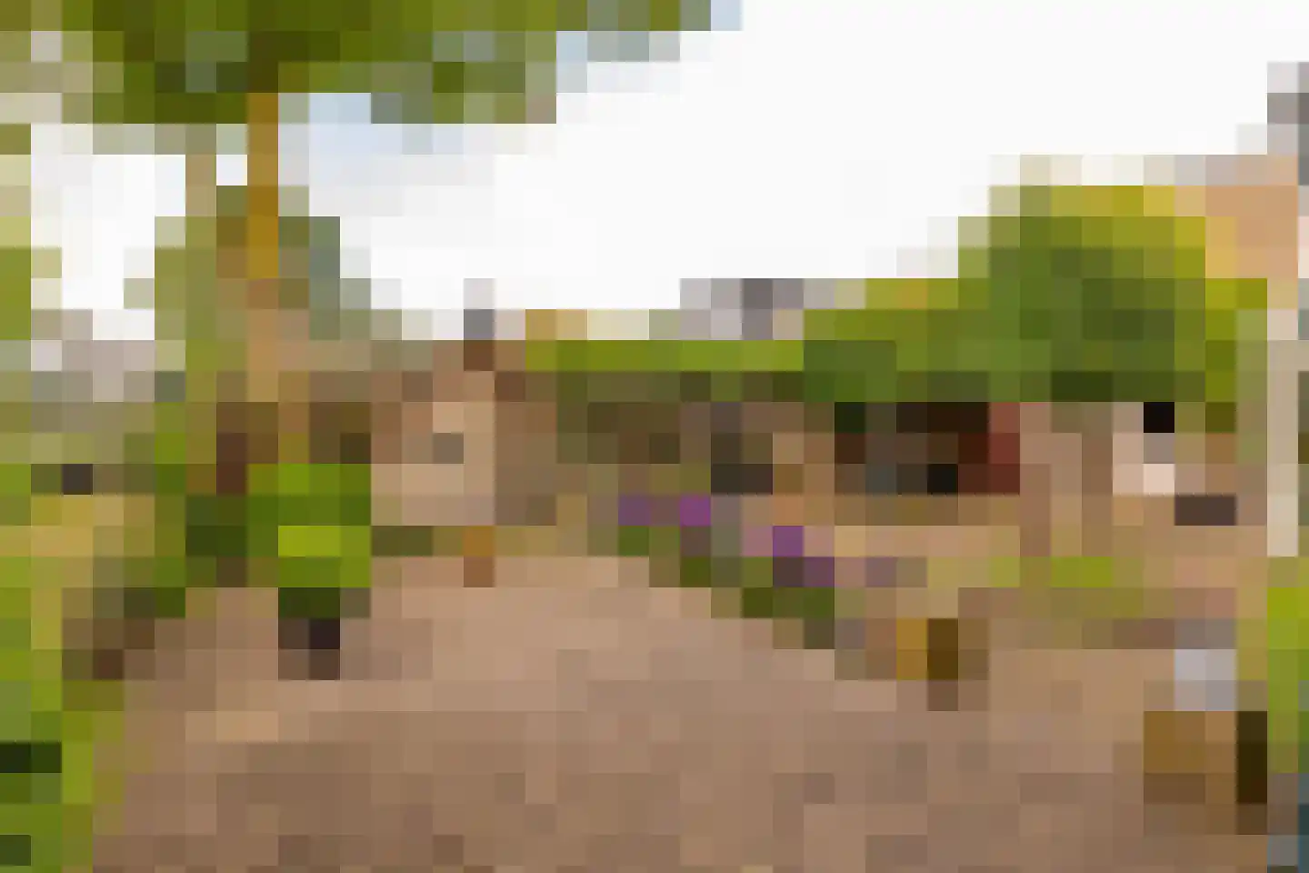 De Plevier 34 Hoogeveen thumbnail 58