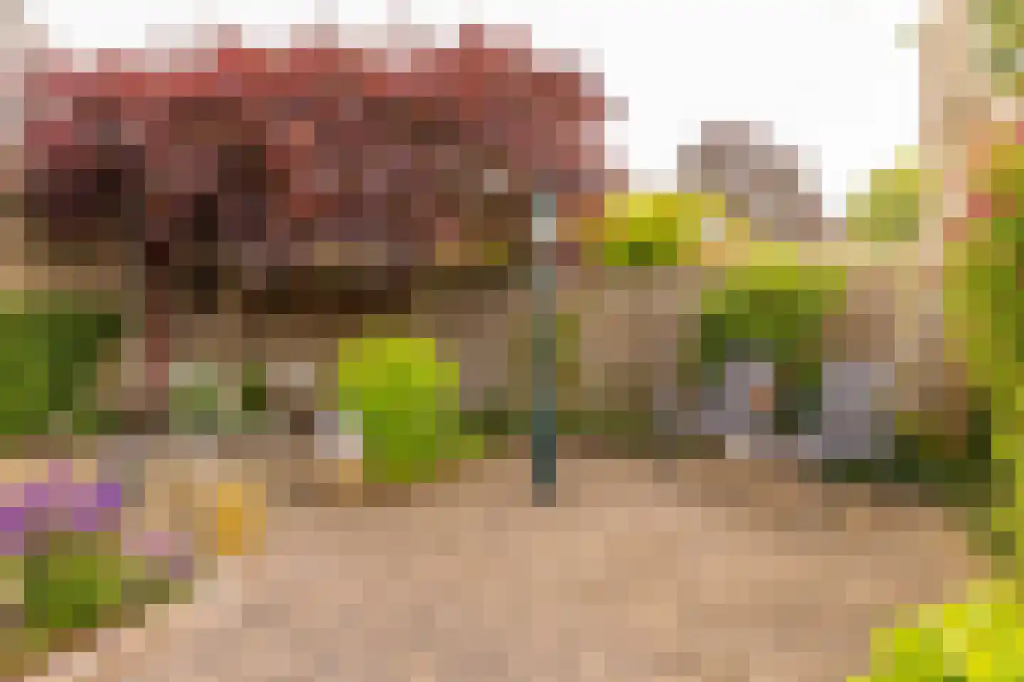 De Plevier 34 Hoogeveen thumbnail 61