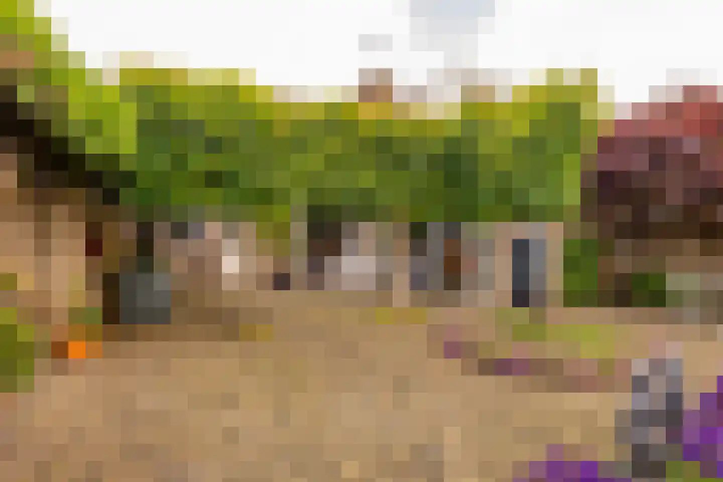 De Plevier 34 Hoogeveen thumbnail 62