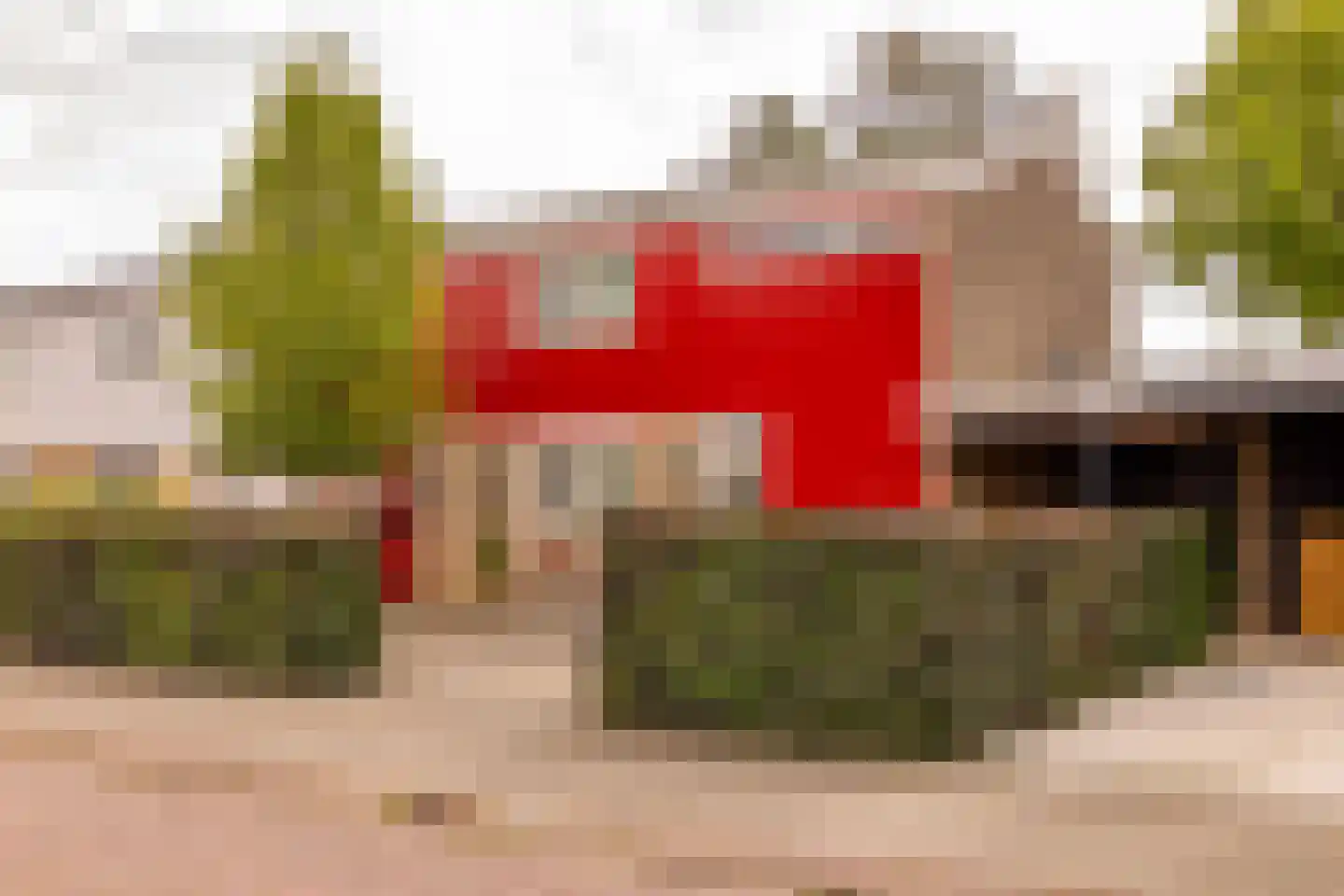 De Plevier 34 Hoogeveen thumbnail 68