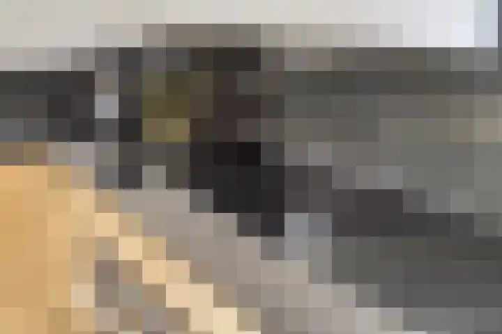 de Plevier 36 Denekamp thumbnail 10