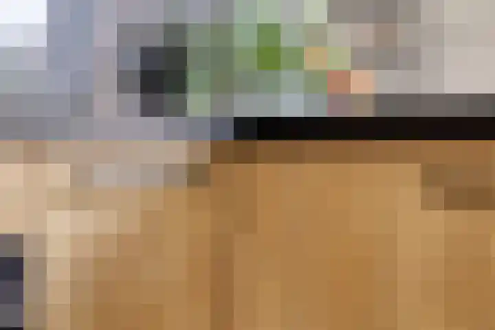 de Plevier 36 Denekamp thumbnail 11