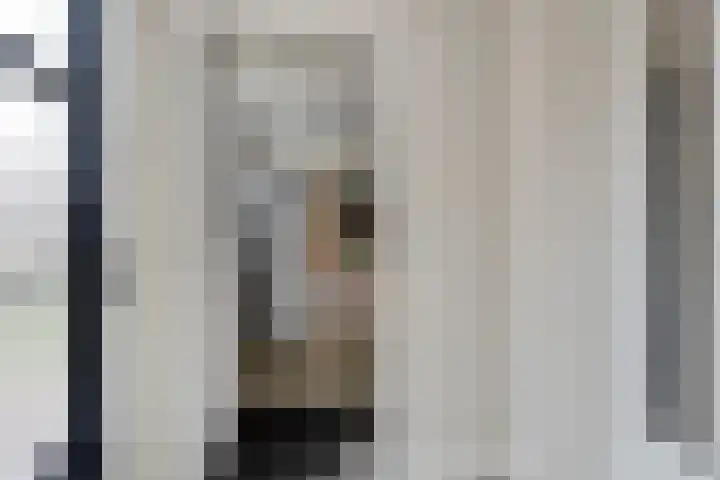 de Plevier 36 Denekamp thumbnail 12