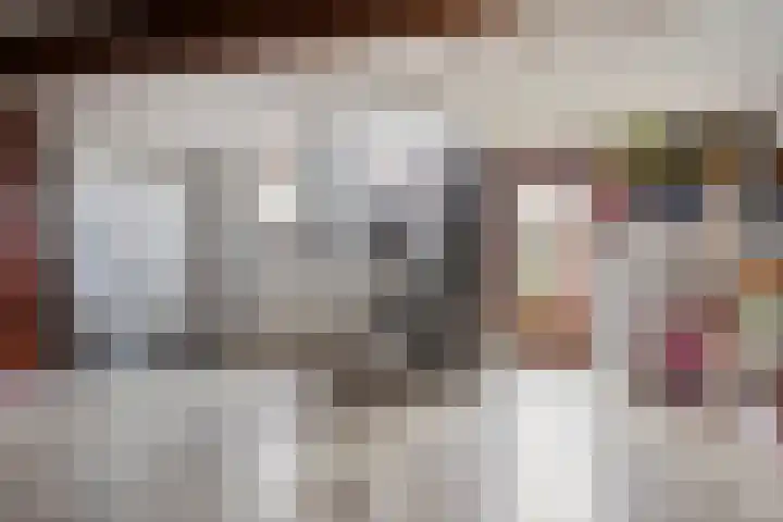 de Plevier 36 Denekamp thumbnail 13