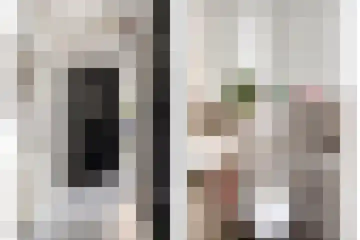 de Plevier 36 Denekamp thumbnail 14