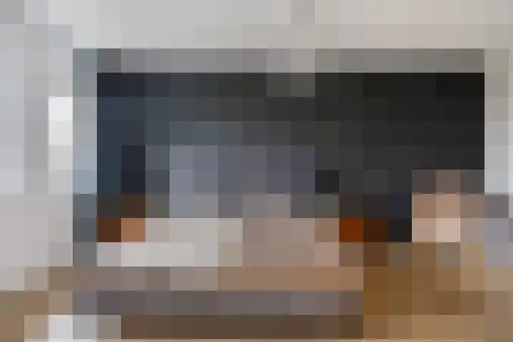 de Plevier 36 Denekamp thumbnail 15