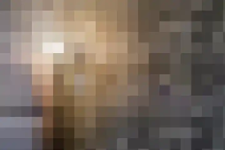 de Plevier 36 Denekamp thumbnail 16