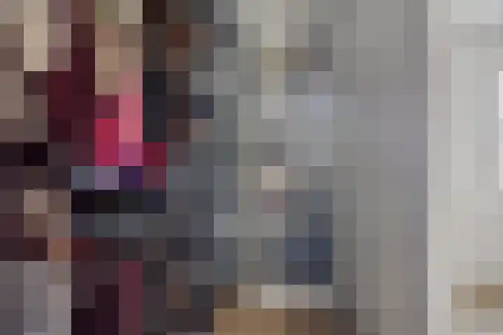 de Plevier 36 Denekamp thumbnail 18