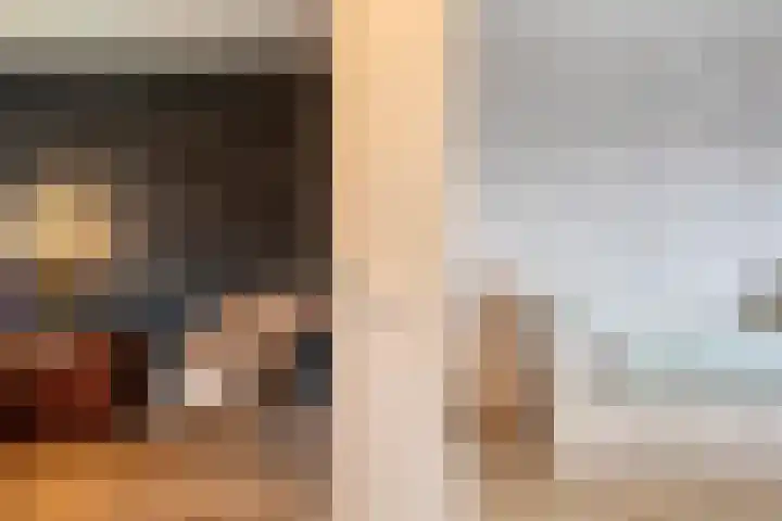 de Plevier 36 Denekamp thumbnail 20