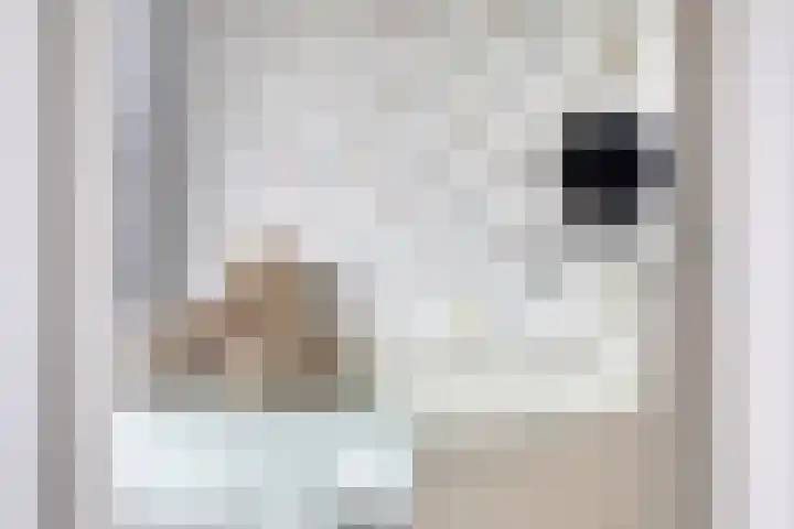 de Plevier 36 Denekamp thumbnail 22