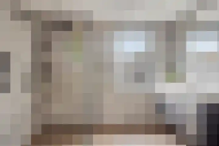 de Plevier 36 Denekamp thumbnail 23