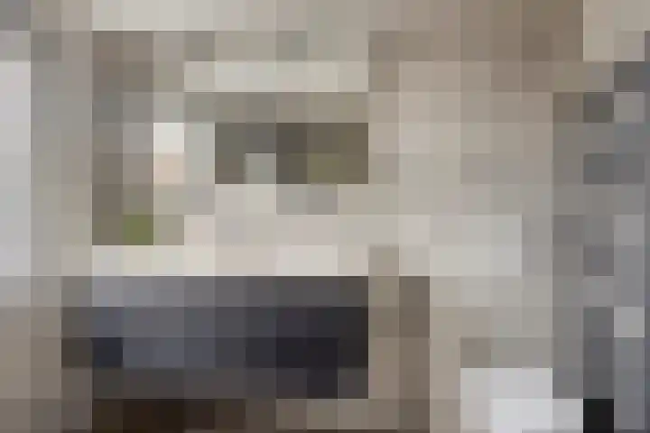 de Plevier 36 Denekamp thumbnail 24
