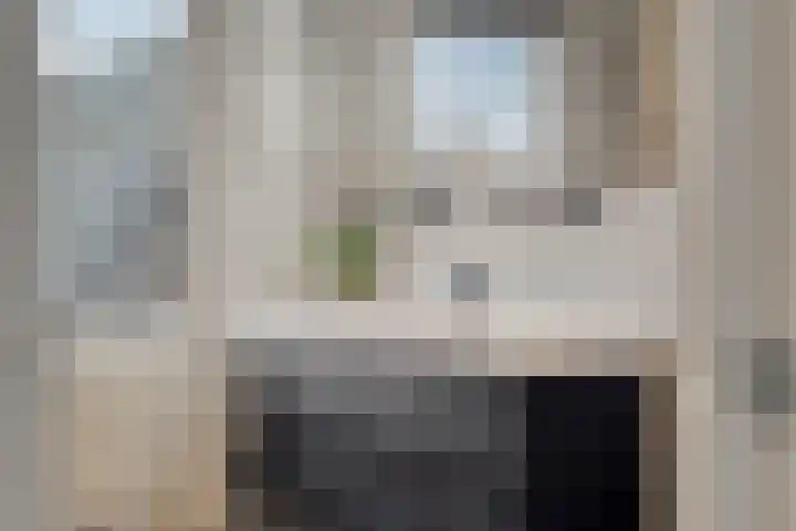 de Plevier 36 Denekamp thumbnail 25