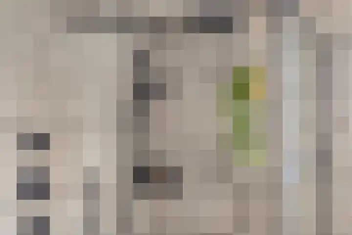de Plevier 36 Denekamp thumbnail 26