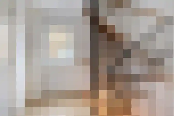 de Plevier 36 Denekamp thumbnail 27
