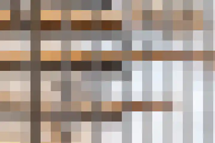 de Plevier 36 Denekamp thumbnail 28