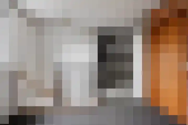 de Plevier 36 Denekamp thumbnail 29