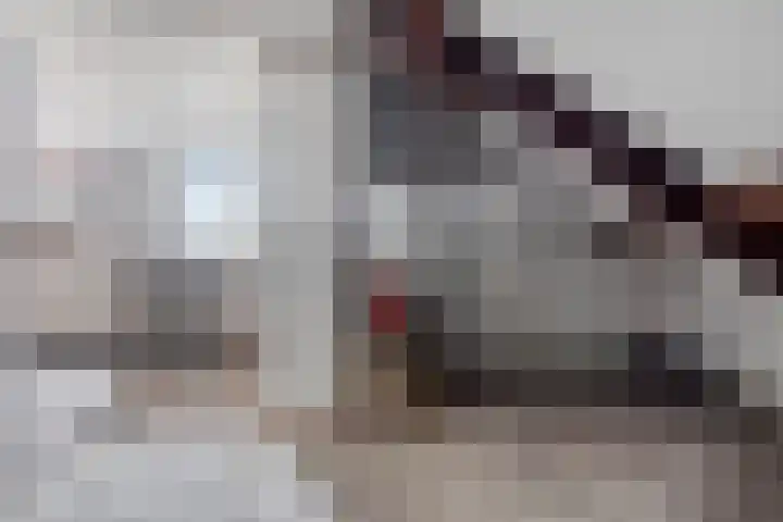 de Plevier 36 Denekamp thumbnail 30