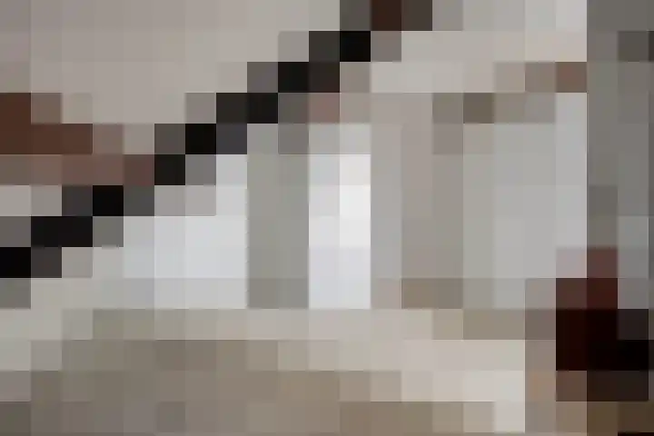 de Plevier 36 Denekamp thumbnail 32