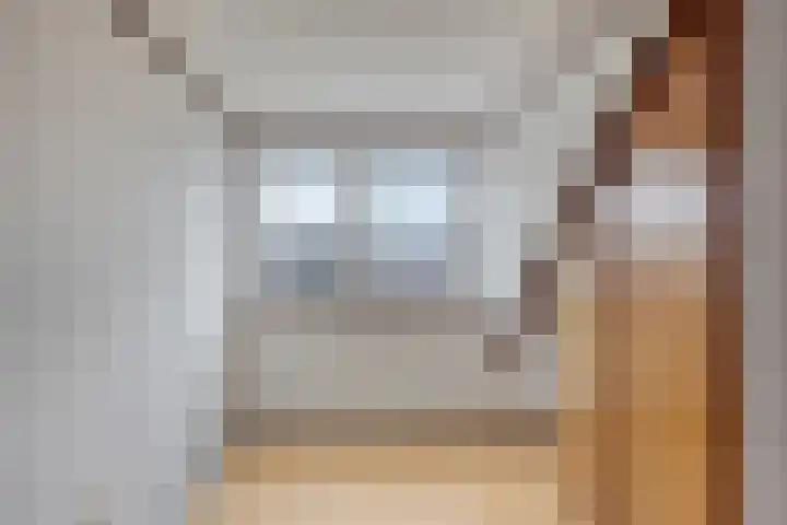 de Plevier 36 Denekamp thumbnail 33