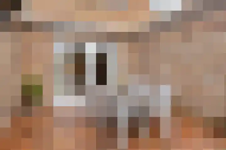 de Plevier 36 Denekamp thumbnail 34