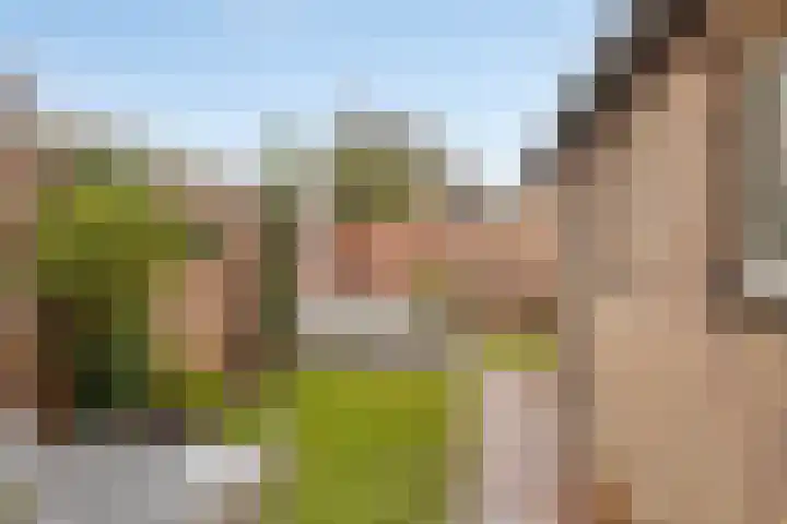 de Plevier 36 Denekamp thumbnail 35