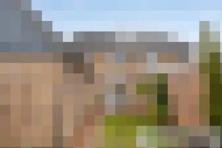 de Plevier 36 Denekamp thumbnail 37