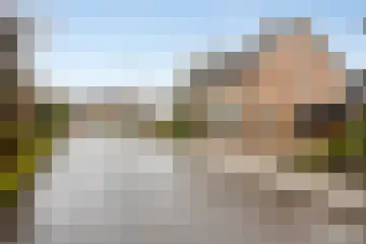 de Plevier 36 Denekamp thumbnail 39